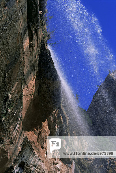 Fels Gesicht und Wasserfälle  Emerald Pools  Zion Nationalpark  Utah  Vereinigte Staaten von Amerika  Nordamerika