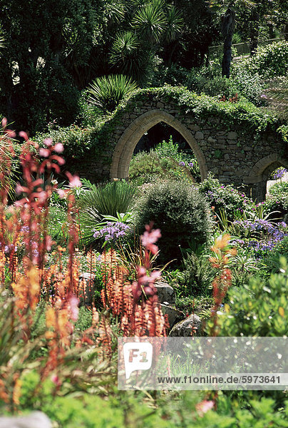 Abbey Gardens  Tresco  Inseln von Scilly  Vereinigtes Königreich  Europa