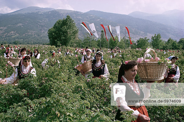 Rose Festival  Bulgarien  Europa