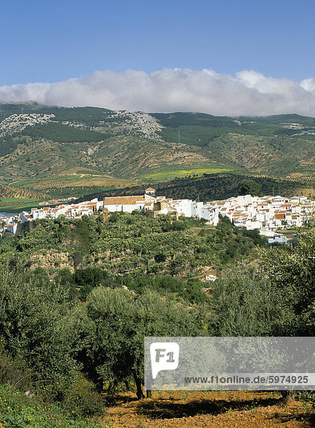El Burgo Dorf und Oliven-Hainen umgeben von Wolken-Spitze Berge der Sierra de Las Nieves  El Burgo  Malaga  Andalusien (Andalusien)  Spanien  Europa