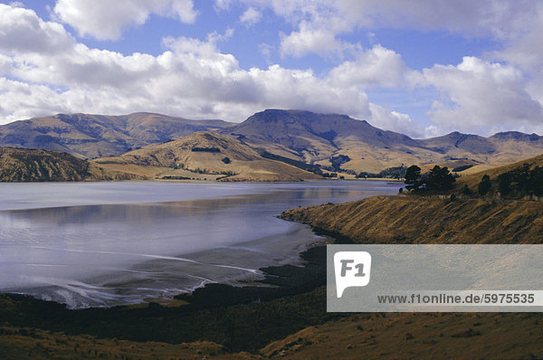 Head of the Bay  Lyttelton Harbour  Banks Peninsula  Canterbury  South Island  New Zealand  Pacific