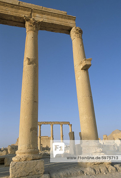 Ruinen der Kolonnade  Palmyra  UNESCO Weltkulturerbe  Syrien  Naher Osten