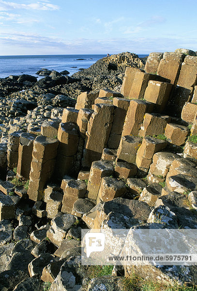 Der Giant's Causeway  UNESCO Weltkulturerbe  County Antrim  Nordirland  Vereinigtes Königreich  Europa