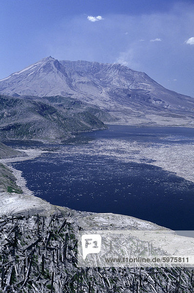 Blast area of 1980 eruption with destroyed forest  floating timber on Spirit Lake and new crater  Washington State.  United States of America (U.S.A.)  North America