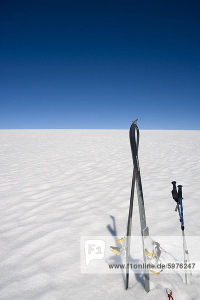 Skis stored vertically on inland icecap  Greenland  Polar Regions