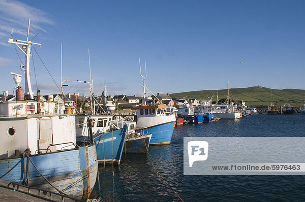 Dingle Harbour with fishing boats  Dingle  County Kerry  Munster  Republic of Ireland  Europe