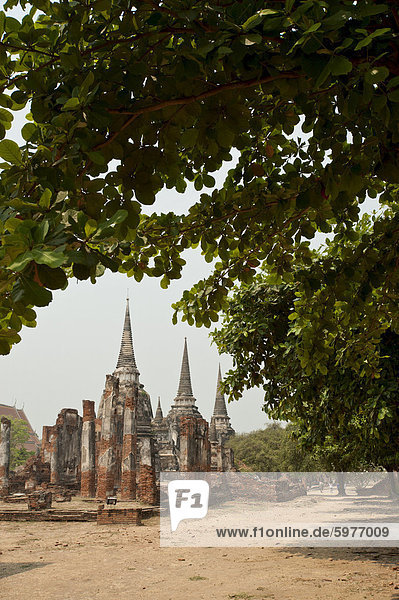 Wat Phra Si Sanphet  Ayutthaya  UNESCO World Heritage Site  Provinz Ayutthaya  Thailand  Südostasien  Asien