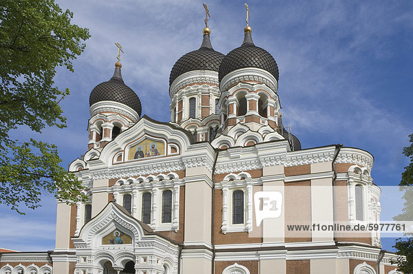 Alexander Nevsky Russisch-Orthodoxe Kathedrale  Tallin  Estland  Baltikum  Europa