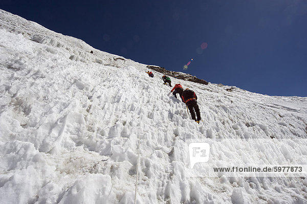 Climbers on an ice wall  Island Peak 6189m  Solu Khumbu Everest Region  Sagarmatha National Park  Himalayas  Nepal  Asia