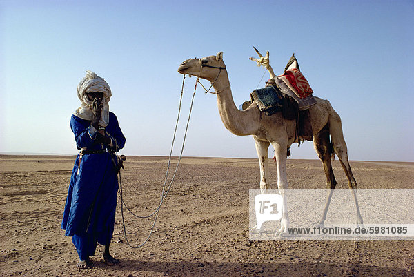 Tuareg Stammesangehörige und Kamel  Niger  Afrika