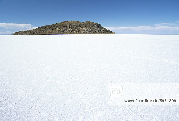 Isla de Los Pescadores im Zentrum Salz Wohnungen Salar de Uyuni Southwest Highlands Bolivien Südamerika