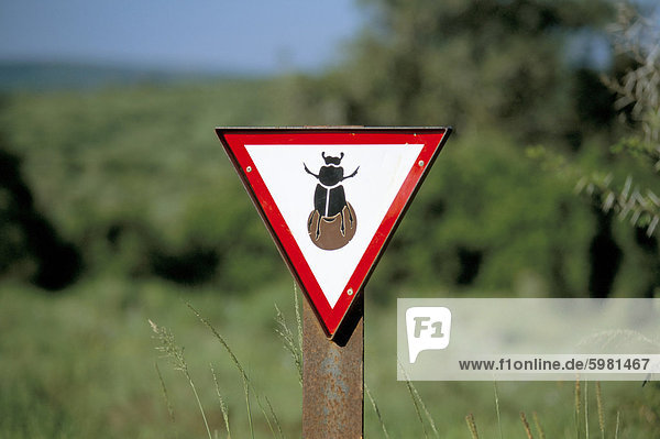 Mistkäfer Straßenschild zu entmutigen Mistkäfer Roadkills  Addo National Park  Südafrika  Afrika