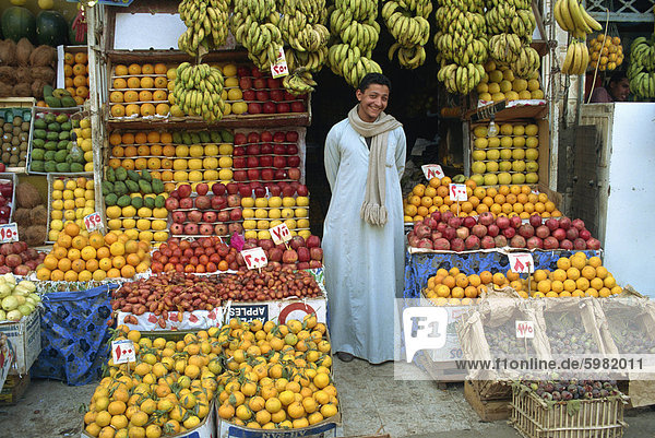 Lächelnd obst Abwürgen Besitzer  Kairo  Ägypten  Nordafrika  Afrika