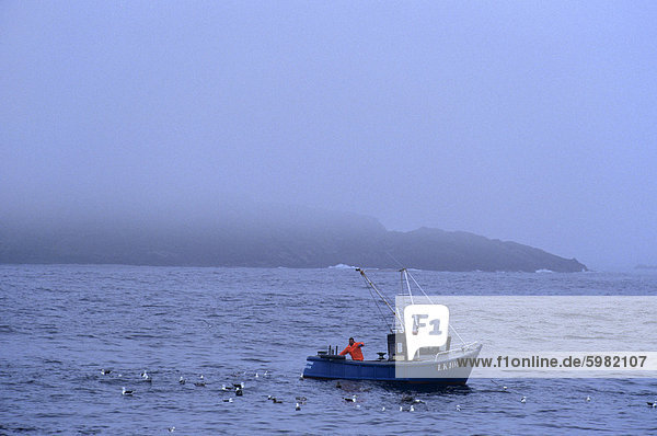 Fischerboot  Shetland Islands  Schottland  Vereinigtes Königreich  Europa