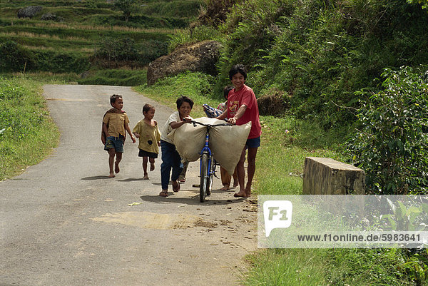 Kleine Gruppe von Kindern mit Belastung Fahrrad und zu Fuß hinauf eine Landstraße  Toraja-Gebiet  Insel von Sulawesi  Indonesien  Südostasien  Asien