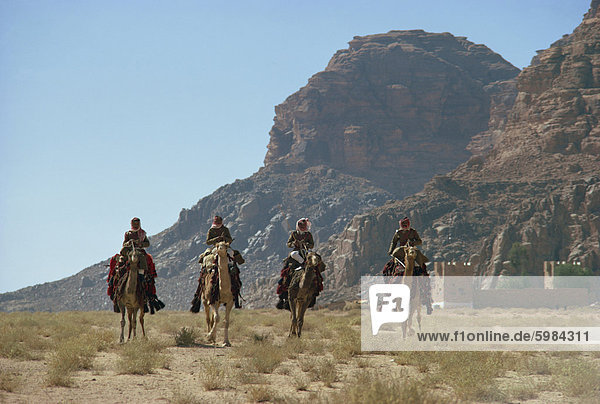 Desert patrol on camels  Wadi Rum  Jordan  Middle East