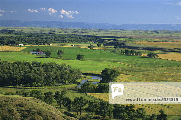 Agricultural landscape  in the valley of the Little Bighorn River  near Billings  Montana  United States of America  North America
