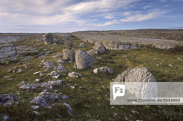 Kalkstein-Plateau  karstige Landschaft  Burren Region  County Clare  Munster  Irland  Europa