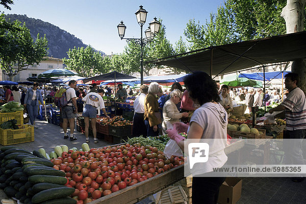 Markt  Pollensa  Mallorca  Balearen  Spanien  Europa