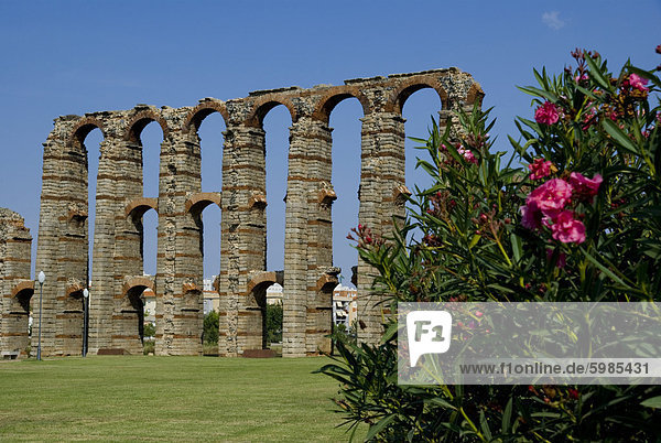 Römisches Aquädukt  Merida  Extremadura  Spanien  Europa