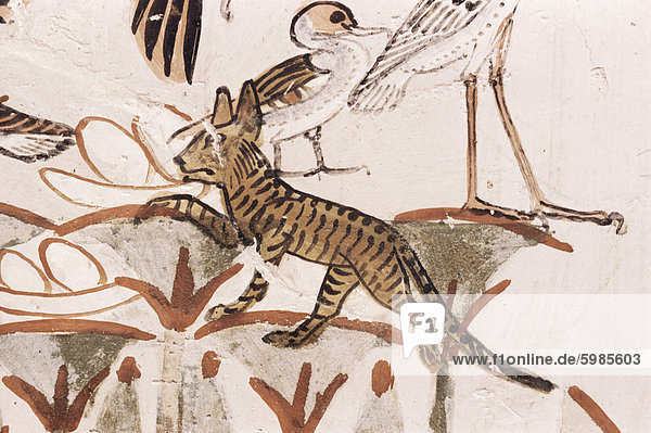Katze Klettern Papyrus Vorbau in Ente Jagd-Szene  Grab von Menna  18. Dynastie  Scheich Abd el-Kurna  Tal von den Adligen  Theben  UNESCO World Heritage Site  Ägypten  Nordafrika  Afrika