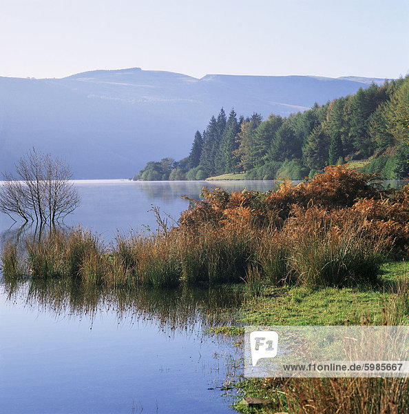 Talybont Reservoir  Brecon Nationalpark  Powys  Südwales  Wales  Vereinigtes Königreich  Europa