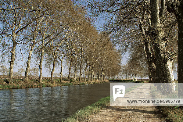 Kanal du Midi  in der Nähe von Capestang  Languedoc-Roussillon  Frankreich  Europa