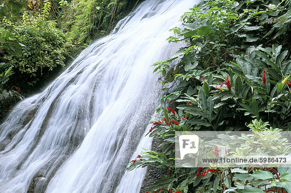 Shaw Wasserfälle, Ocho Rios, Jamaika, Karibik, Mittelamerika