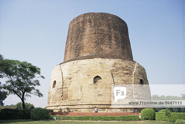 Dharmekh Stupa  aus dem 5. Jahrhundert  Sarnath  Uttar Pradesh Zustand  Indien  Asien