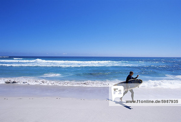 Surfer mit seinem Brett auf Kommetjie Strand  Kapstadt  Südafrika  Afrika zu Fuß
