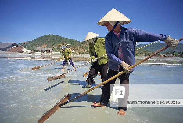 Workers with rakes at the salt mines at Cam Ranh near Nha Trang  Vietnam  Indochina  Southeast Asia  Asia