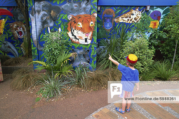 Childs Play  small child at Auckland Zoo  Auckland  North Island  New Zealand  Pacific