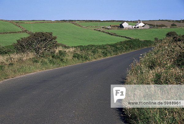 Penwith Bauernhof Landschaft und Straße in der Nähe von Lanyon Quoit  Cornwall  England  Vereinigtes Königreich  Europa