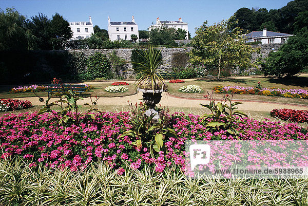 Botanischer Garten Botanische Europa Großbritannien Guernsey Kanalinseln