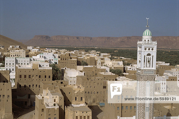Blick vom Dach des Sultans Palace  Seiyun  Wadi Hadramaut  Jemen  Naher Osten