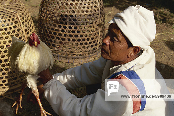 Man with rooster  highly prized fighting bird  Bali  Indonesia  Southeast Asia  Asia