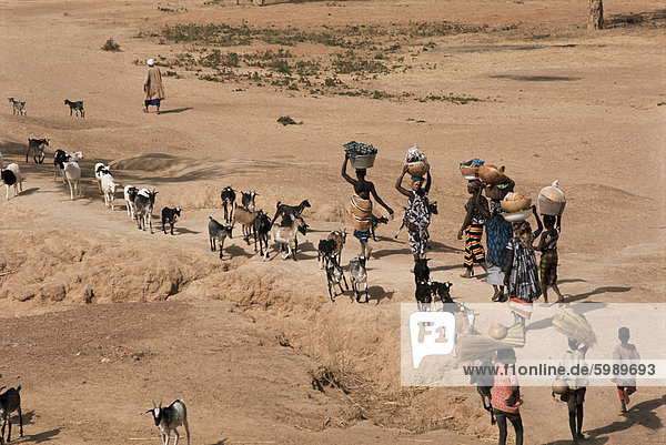 Frauen auf ihrem Weg zum Waschplatz am Fluss Niger  Mali  Afrika