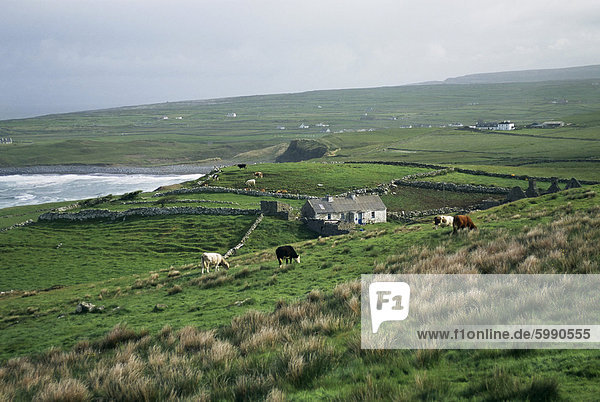 Blick in Richtung Doolin über Landschaft  County Clare  Munster  Eire (Irland)  Europa