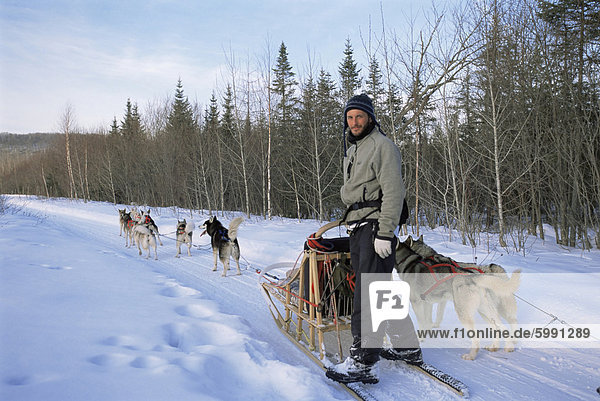 Dog sledding with Aventure Inukshuk  Quebec  Canada  North America