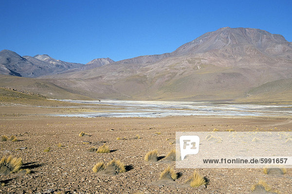 Altiplano und hochrangigen Vulkane  zwischen Caspana und El Tatio  Atacamawüste  Chile  Südamerika