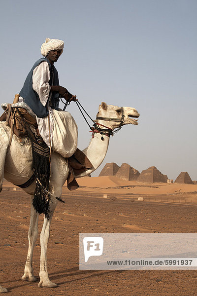 Ein Führer und ein Kamel vor den Pyramiden von Meroe  Sudan beliebteste Touristenattraktion  Bagrawiyah  Sudan  Afrika stehen