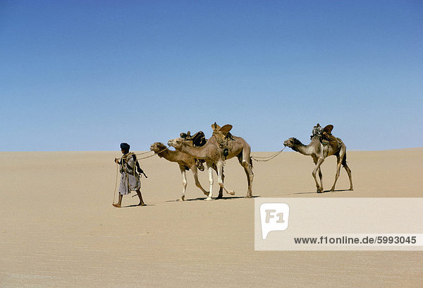 Teil der Eskorte zu Kamel Zug im leeren Viertel von Mauretanien-Mali  Afrika