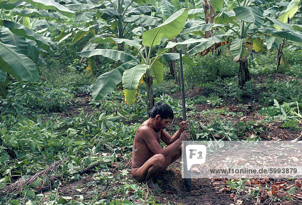 Yanomami Mann mit traditionellen Grabstock  Brasilien  Südamerika