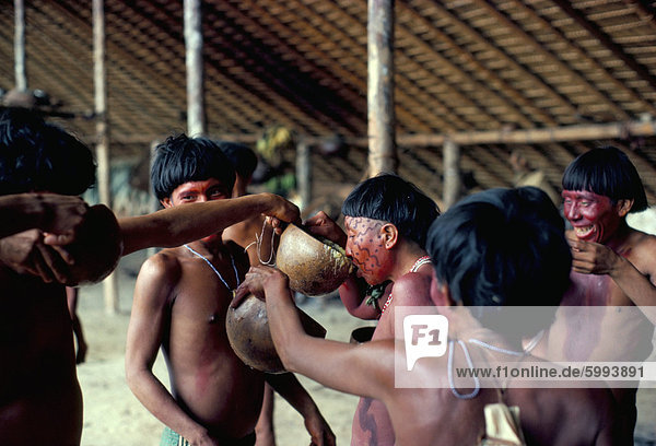 Yanomami trinken Kochbananen Suppe am Festmahl  Brasilien  Südamerika