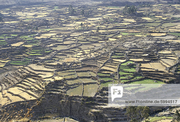Luftbild von Inka Terrassen  Colca Canyon  Chivay  Peru  Südamerika