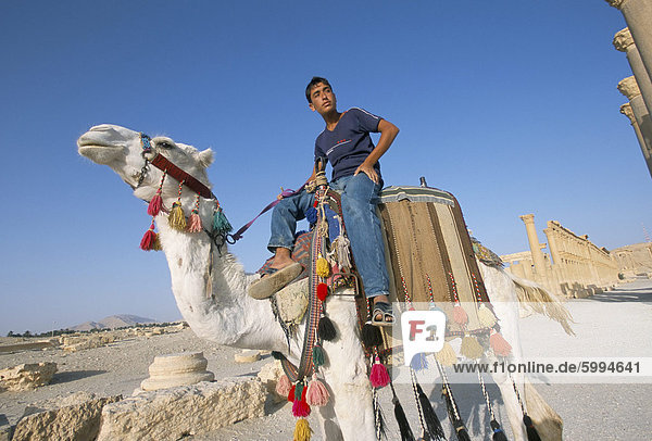 Teenager auf Kamel vor große Kolonnade  Palmyra in Syrien  Nahost