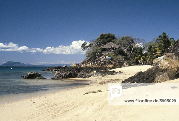 Strand  Nosybe Island  neugierige Komba  Madagaskar