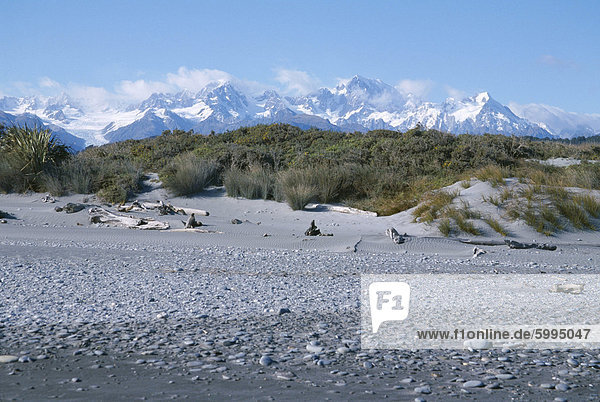 Blick vom Strand der Westküste von Wald und Fox Glacier  Südalpen  Westland  Südinsel  Neuseeland  Pazifik