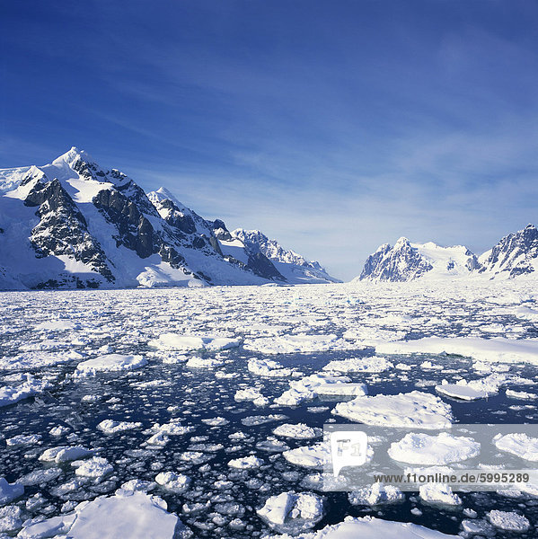 Lockere Packeis im Meer  mit der Antarktischen Halbinsel in den Hintergrund  Antarktis  Polarregionen
