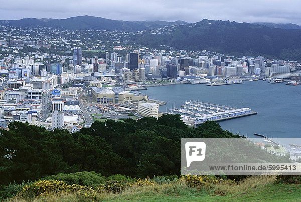 Blick nach Westen Norden von Mount Victoria in Richtung Lambton Hafen und Stadtzentrum  Wellington  Nordinsel  Neuseeland  Pazifik